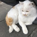 The Great Wall of China (979750)