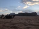 Day Trip in Wadi Rum with Al Rahayeb (979891)