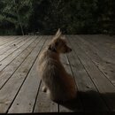 Atticus Finch! (979910)