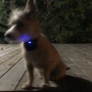 Atticus Finch! (979933)