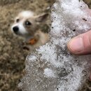 Frost Day in Austin (979843)