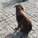 Roaming Around Tblisi (979830)