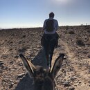 Donkey Riding to Jabal Haroun (980178)