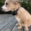 Atticus Finch! (980456)