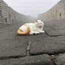 The Great Wall of China (980346)
