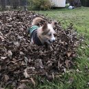 Random Photos 2018 (980236)