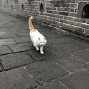 The Great Wall of China (980336)