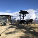 Heading to Bumthang, Bhutan (980443)