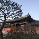 Korean Temple (980385)
