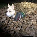 Random Photos 2018 (980228)