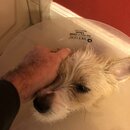 Atticus Finch! (980513)