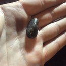 Backyard Fire with Atti (980503)