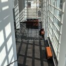 Afternoon in Thimphu (980504)