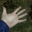 Gangtey Palace Hotel (980878)