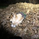 Random Photos 2018 (980918)