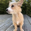 Atticus Finch! (980776)