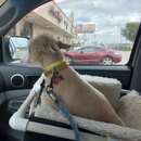 Saying Goodbye to Atters (980810)