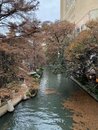 Daytrip to San Antonio with Wan Shan (1003663)