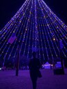 34th Street Trail of Lights (1002070)