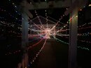 34th Street Trail of Lights (1002509)