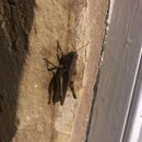 Random Photos 2019 (995903)