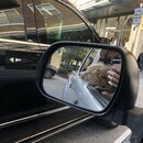 Random Photos 2019 (994399)