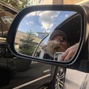 Random Photos 2019 (995050)