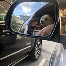 Random Photos 2019 (997148)