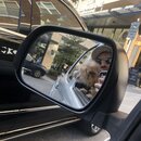 Random Photos 2019 (995873)