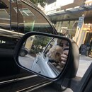 Random Photos 2019 (997309)