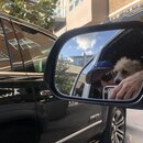 Random Photos 2019 (994554)