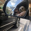 Random Photos 2019 (993583)