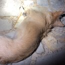 Random Photos 2019 (993610)