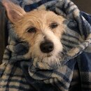 Atti Eating with Abbi (995615)