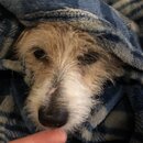 Atti Eating with Abbi (997556)