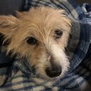 Atti Eating with Abbi (993339)