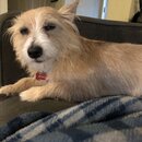 Atti Eating with Abbi (996707)