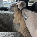 Random Photos 2019 (995927)