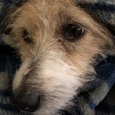 Atti Eating with Abbi (996106)