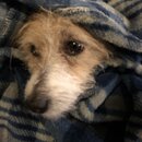 Atti Eating with Abbi (995924)