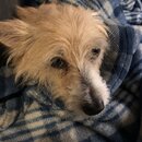 Atti Eating with Abbi (994910)