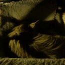 Random Photos 2019 (996625)