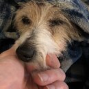 Atti Eating with Abbi (994131)