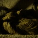 Random Photos 2019 (996582)