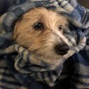 Atti Eating with Abbi (996238)