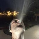 Post Run Sweaty Shots (995281)