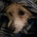 Atti Eating with Abbi (995455)