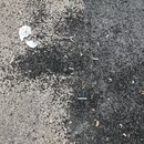 Broadmoor Asphalt Analysis (996977)