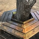 Deck and Driveway Power Washing (995309)