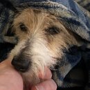 Atti Eating with Abbi (994501)